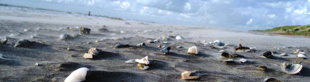 Ameland 2009